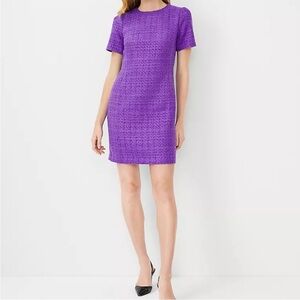 Elegant Purple Women's Dress
